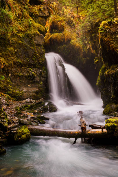 istock Virgin Falls, Girdwood Alaska. 1008741736
