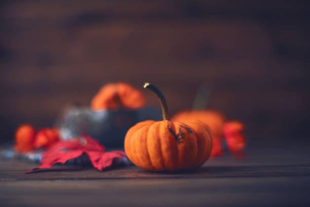 istock Thanksgiving still life with miniature pumpkins and leaves 1008755946