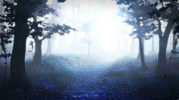 istock misty forest at sunrise, spooky path through the woods 1008758542