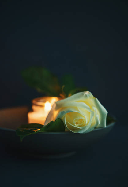 istock Burning candle with white rose in remembrance 1008765388