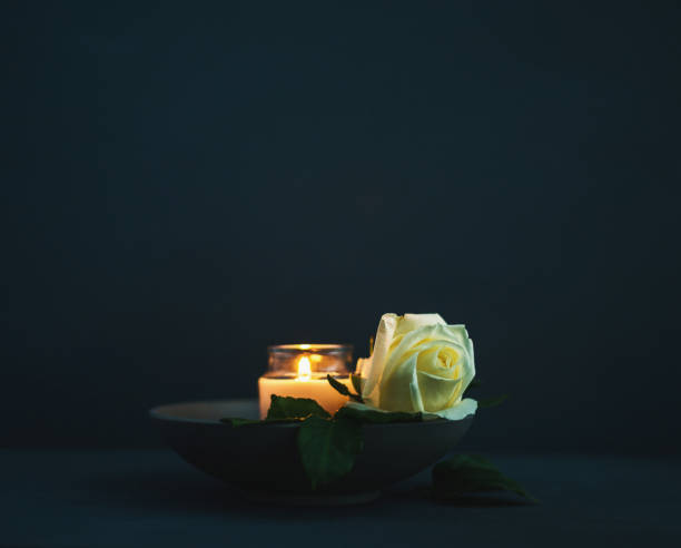 Burning candle with white rose in remembrance Burning candle with white rose in remembrance memorial vigil stock pictures, royalty-free photos & images