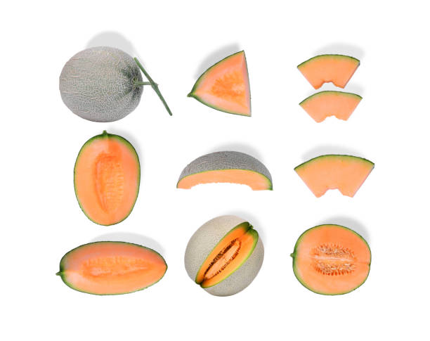 whole and sliced japanese melon, orange melon or cantaloupe melon isolated on white background, flat lay, top view - 3675 imagens e fotografias de stock