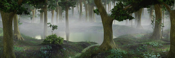 istock foggy fantasy forest with ponds 1008772920