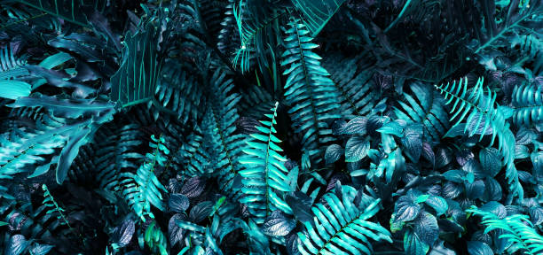 istock Vertical garden with tropical green leaf, contrast 1008780716