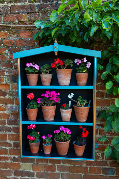 adorabile scatola di fioriera appesa a un muro di mattoni con piante in vaso dai colori vivaci. - ornamental garden europe flower bed old fashioned foto e immagini stock