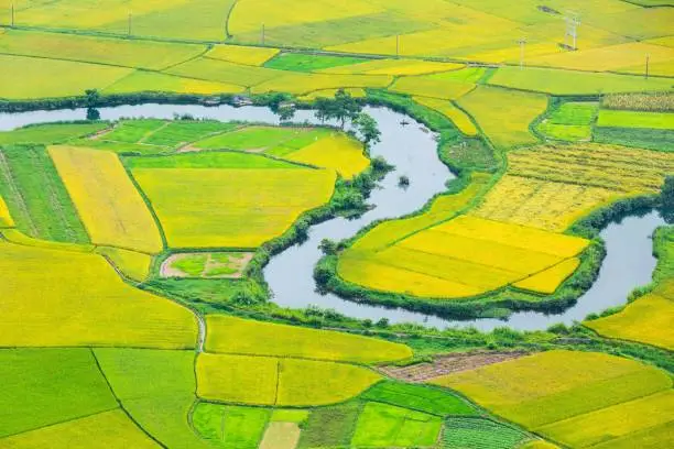 The majestic rice field in BacSon - north of Vietnam