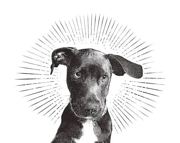 Vector illustration of Labrador Retriever puppy dog in an animal shelter hoping to be adopted
