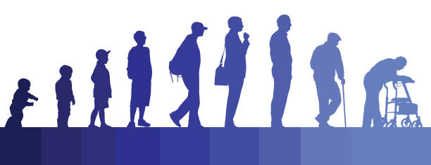 Life Journey Men vector silhouettes of a man's life from childhood to old age old man baby stock illustrations