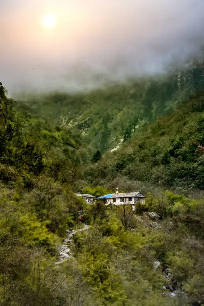 Tea houses in village among greenery valley,Nepal,Himalaya.