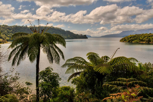 istock Lake Tarawera jetty sunset 1008810288
