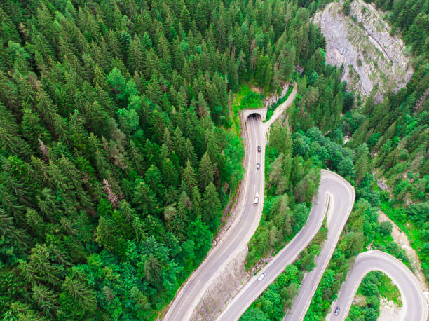 istock tunnel entrance in forest. 1008812472