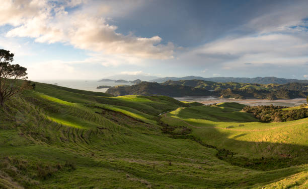 istock Rural countryside in the Coromandel coast 1008812870