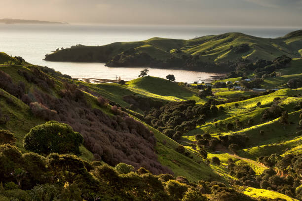 istock Rural countryside in the Coromandel coast 1008812890