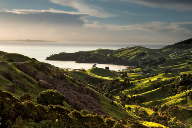 istock Rural countryside in the Coromandel coast 1008813268