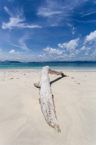 istock White sand beach at Khang Khao Island (Bat island) 1008828836