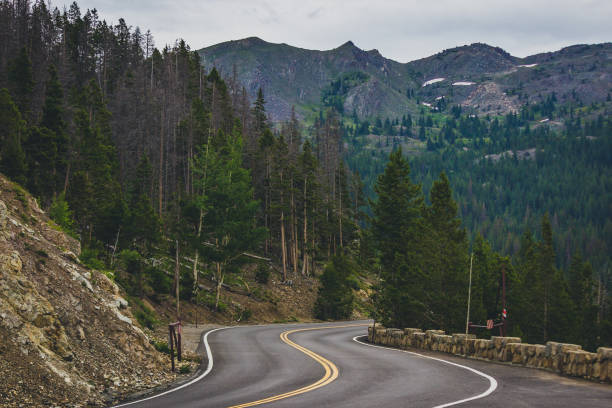 istock Trail Ridge Road Scenic Drive 1008834448