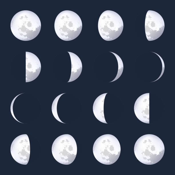 Creative vector illustration of realistic moon phases schemes isolated on transparent background. Art design lunar calendar. Different stages of moonlight activity. Abstract concept graphic element Creative vector illustration of realistic moon phases schemes isolated on transparent background. Art design lunar calendar. Different stages of moonlight activity. Abstract concept graphic element crescent moon stock illustrations