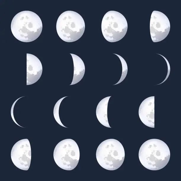 Vector illustration of Creative vector illustration of realistic moon phases schemes isolated on transparent background. Art design lunar calendar. Different stages of moonlight activity. Abstract concept graphic element