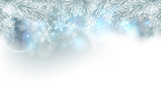 Christmas Tree Snowflakes Background Christmas tree and snowflakes silver snow and ice crystals abstract background holiday banners stock illustrations