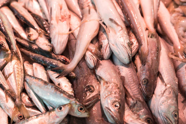 istock Fish in the market sea fish 1008840298
