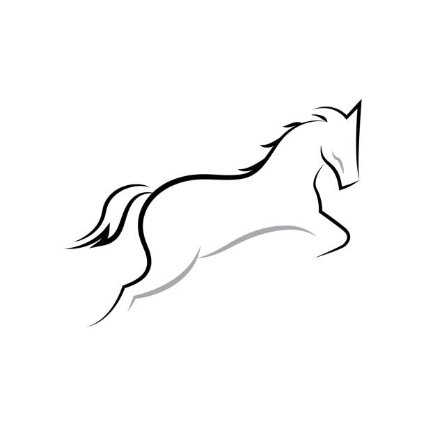 ilustraciones, imágenes clip art, dibujos animados e iconos de stock de caballo pisador salto línea arte ilustración - caballo saltando