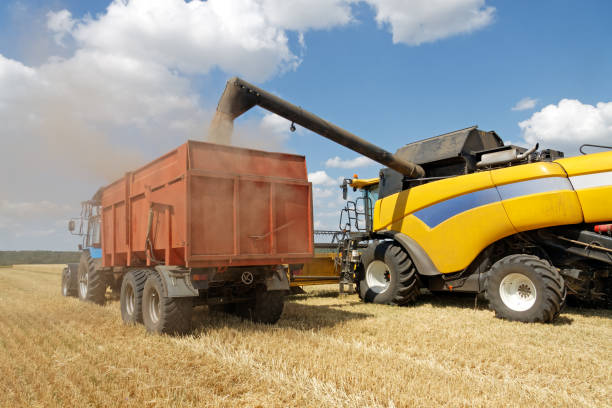 istock Combine harvester load wheat in the truck 1008848148
