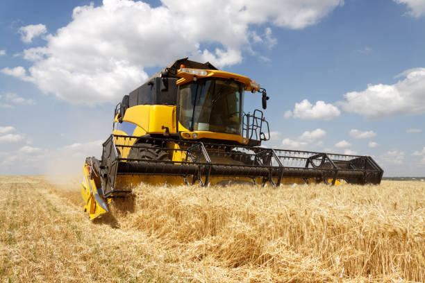 istock Combine harvester working on a wheat field 1008848260