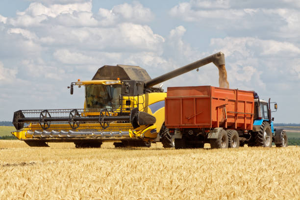 istock Combine harvester load wheat in the truck 1008848278