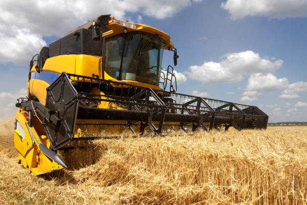 istock Combine harvester working on a wheat field 1008848360