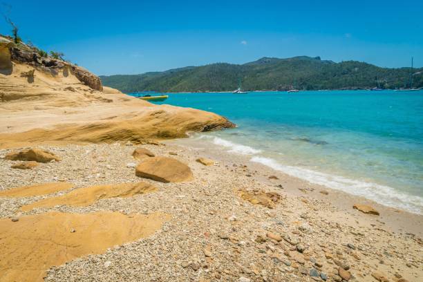 istock Landing on Whitehaven beach in the whitsundays in Australia 1008866622