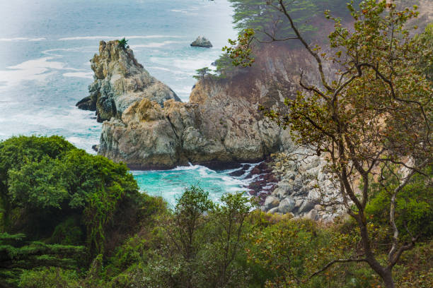 istock World famous McWay falls in Big Sur state park 1008870324