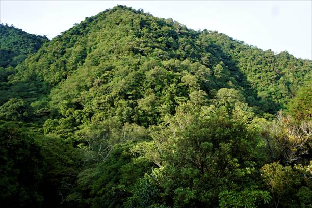 istock Juan Castro Blanco National Park hills on sunny morning 1008873008