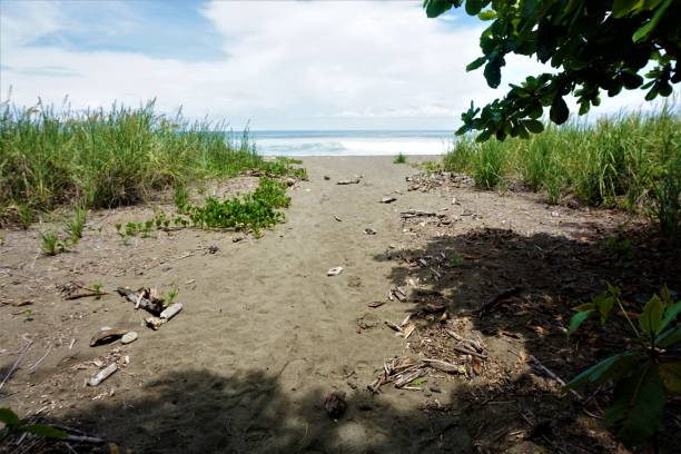 istock Hidden place at Playa Dominical near Guapil 1008876718