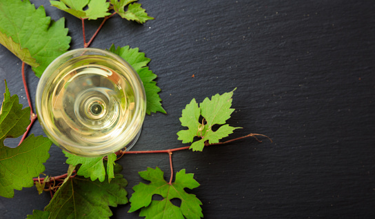 White wine glass and fresh grape leaves on black background, top view, copy space