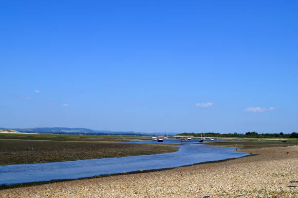 istock Tidal estuary draining out via a small river 1008884742