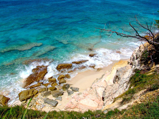 costa selvaggia caraibica - gagliardini foto e immagini stock