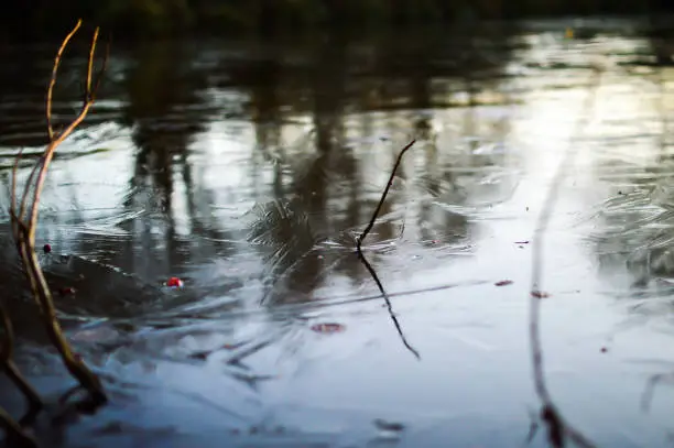 A sharp photo of a frozen lake with twigs as the primary focus.