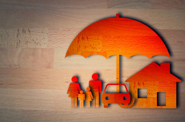 istock Concept of Insurance 1008909476