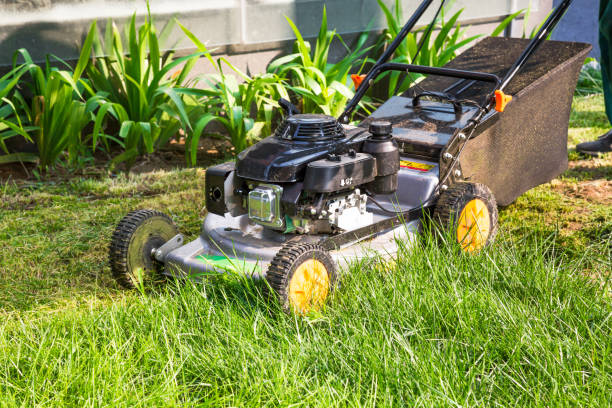 istock Lawn mower. Cutting, gardener. 1008913780