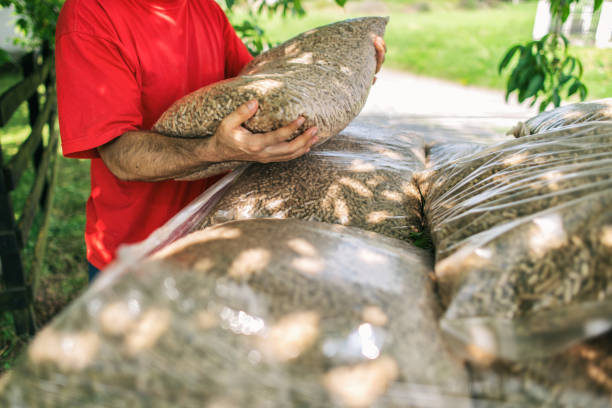 istock Man carrying wood pellets in hands 1008914120