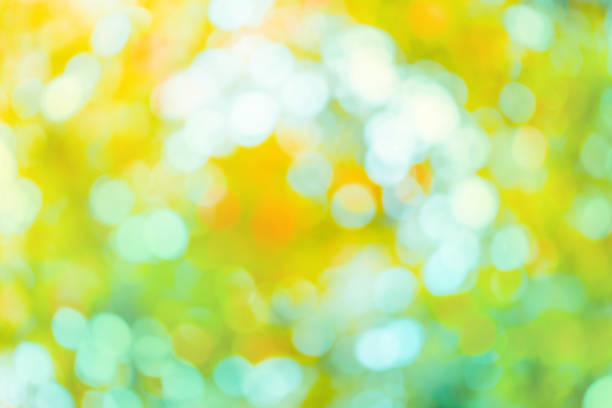 istock Autumn forest bokeh. Autumn abstract background 1008915786