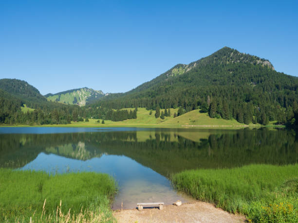 istock Lake Spitzingsee in the Alps 1008922930