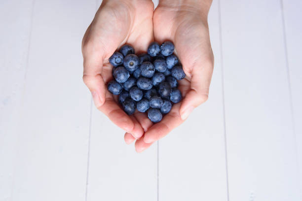 istock Fresh blueberries in women's hands 1008923222