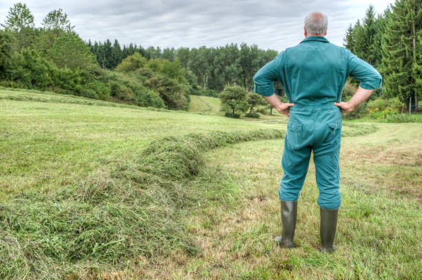 istock Farmer looks down into the valley at his mown meadow. 1008926694