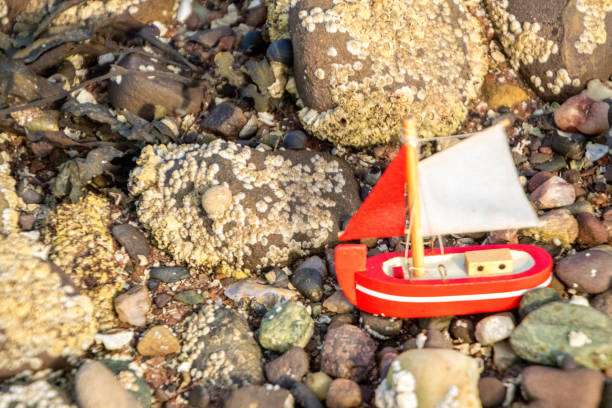 model łodzi - ship industrial ship fishing boat europe zdjęcia i obrazy z banku zdjęć