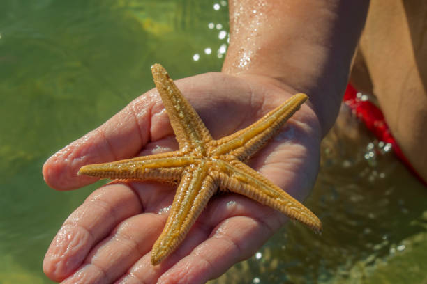 istock Vacation at Croatian sea 1008935818