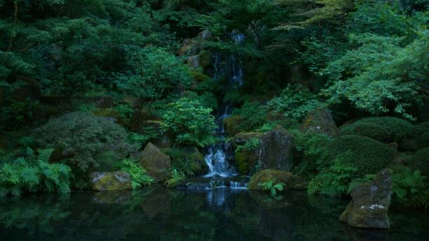 Zen -A study of Japanese themed nature