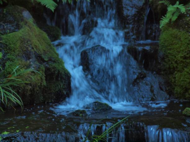 istock Zen -A study of Japanese themed nature 1008947250