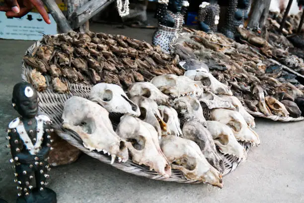 At the Woodoo market in Ouidah, Benin