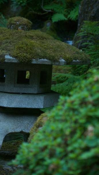 istock Zen -A study of Japanese themed nature 1008950320